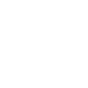 Innovexa (42)